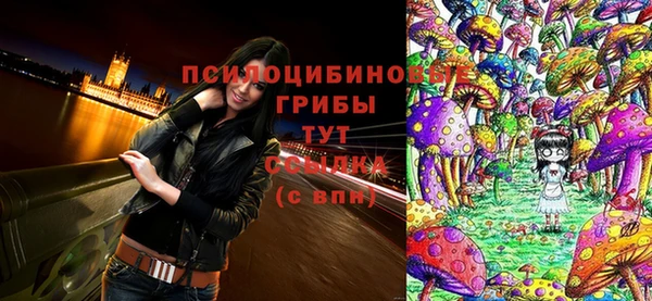 прущий лед Арсеньев