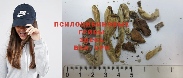 шишки Армянск