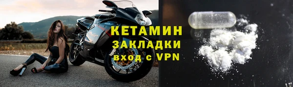 хмурый Аркадак