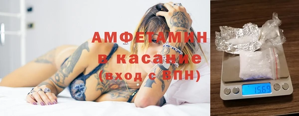 хмурый Аркадак