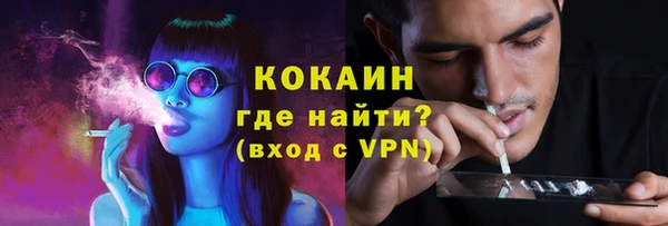 шишки Армянск