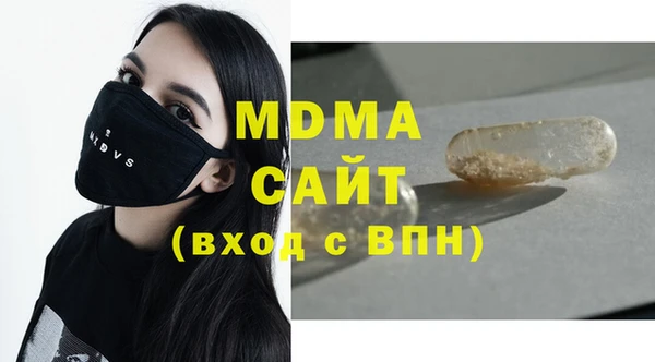 хмурый Аркадак