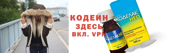 хмурый Аркадак