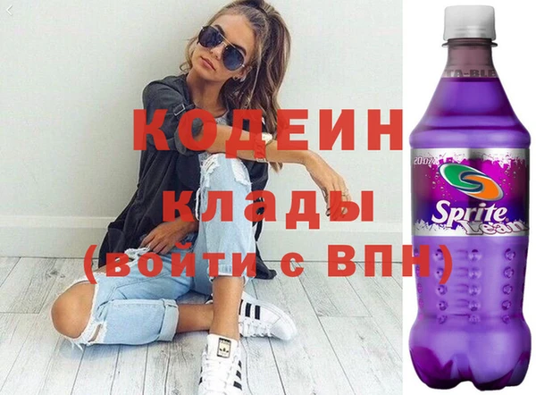 хмурый Аркадак