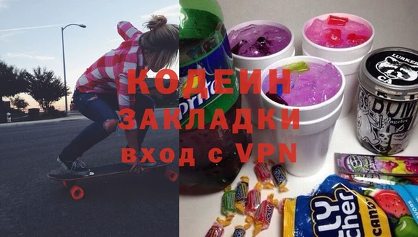 хмурый Аркадак