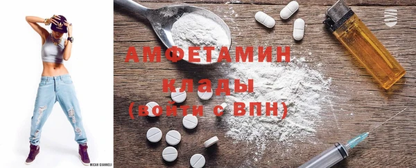 хмурый Аркадак