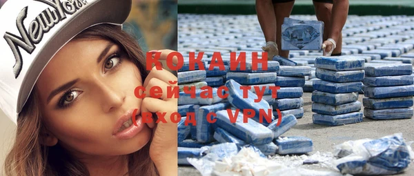 шишки Армянск