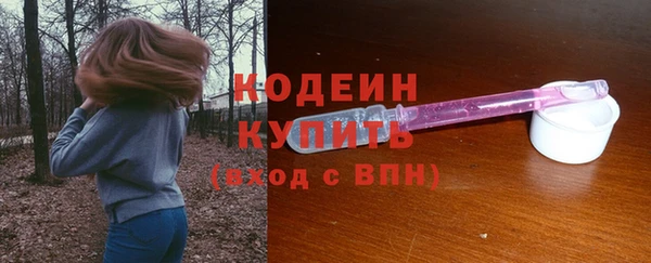 индика Богородицк