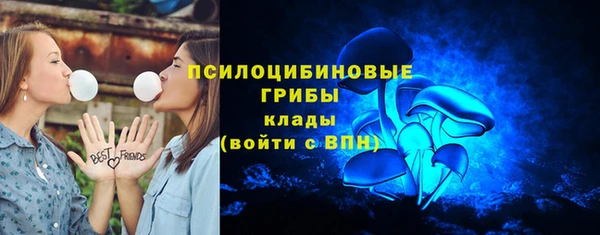 шишки Армянск