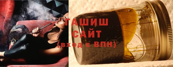 хмурый Аркадак
